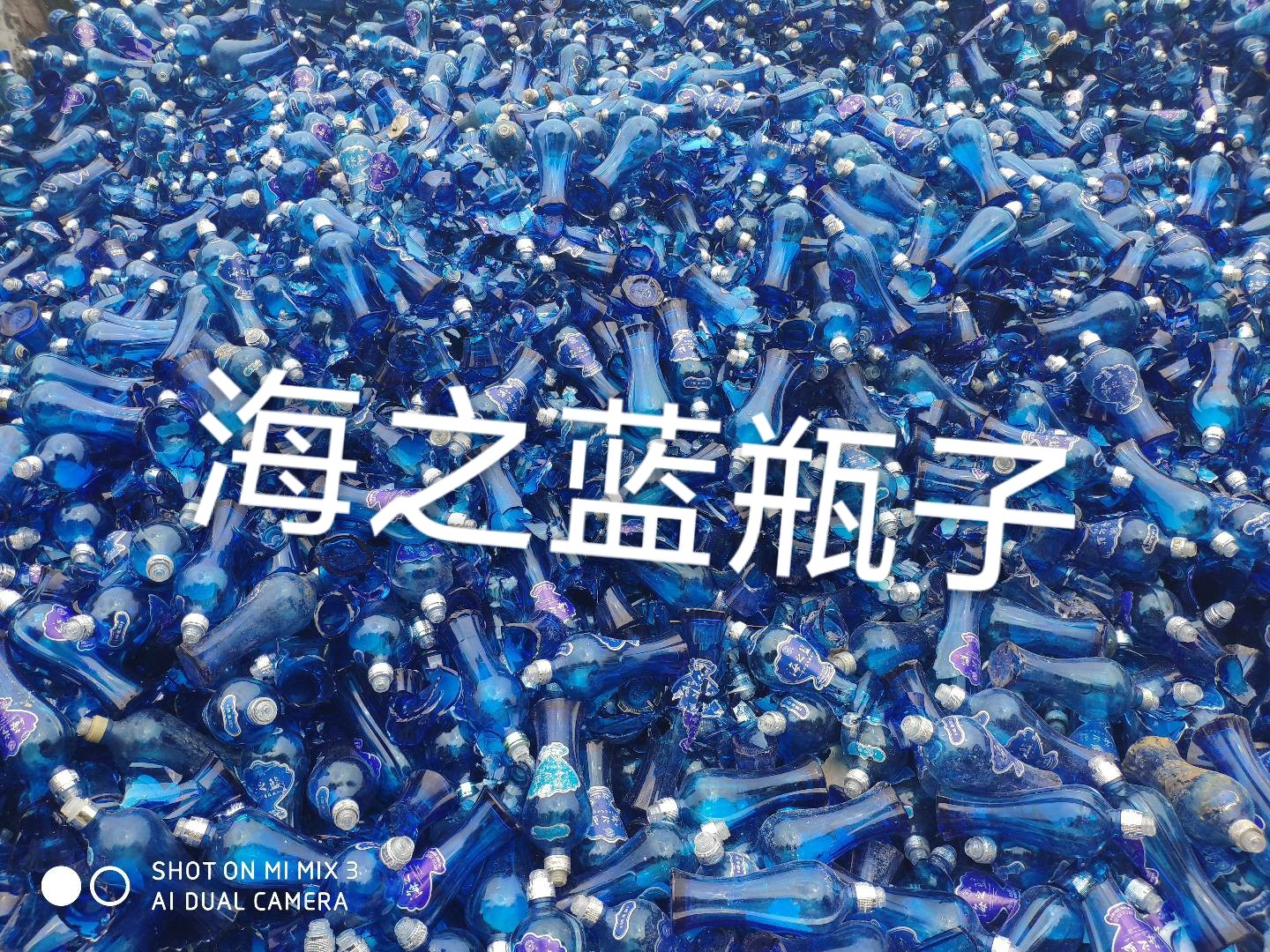 盱眙海之蓝瓶回收