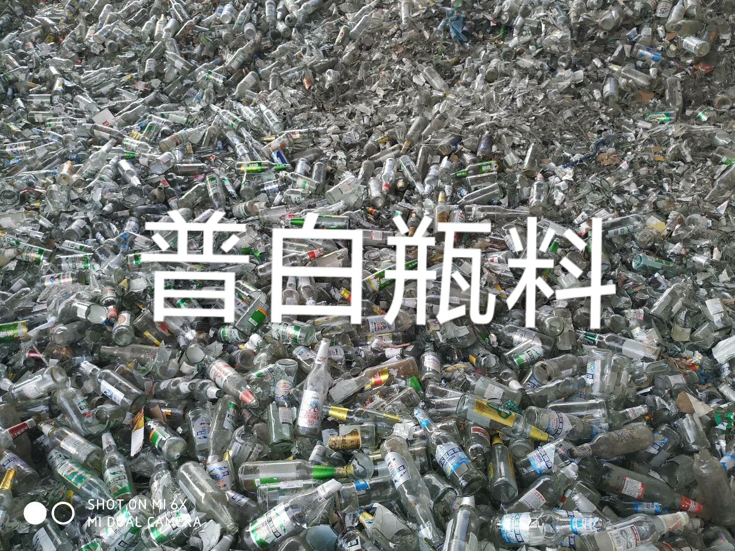 盱眙普白瓶料回收